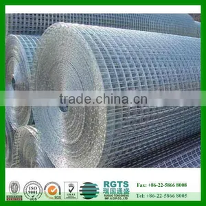 Prime Stainless Steel Wire Mesh Fence/ Welded Wire Mesh Direct Supply From Factory thumbnail-1