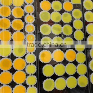 COB LED Chip Golden Wire Copper Base 3W 5W 7W 9W 10W 12W 15W 18W 20W 30W thumbnail-1