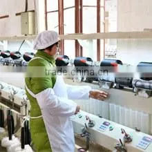 Haian Haisheng Chemical Fiber Thread Co., Ltd. company overview - view 3 thumbnail