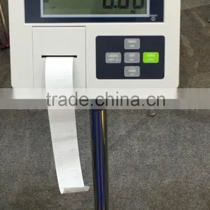 9901DP Weighing Indicator With EPSON Printer thumbnail-4