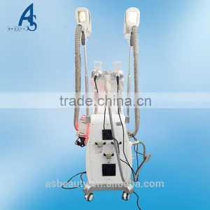 Cryolipolysis Cavitation Rf Lipo Laser Slimming Fat Reduction Machine Fat Freeze Coolsculpting Flabby Skin thumbnail-3