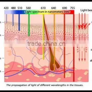 Private Label Pdt Led Light Therapy Instant 630nm Blue Face Lift Machine Led Red Light Therapy Machine Red Light Therapy For Wrinkles thumbnail-5