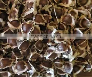 MORINGA SEED FOR AYURVEDIC REMEDY thumbnail-4