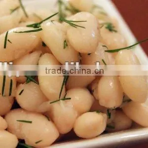 White Beans (factory) thumbnail-1