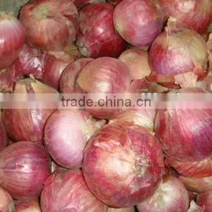 Fresh Red Onion thumbnail-1
