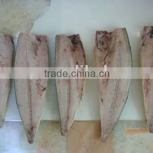 Canned Mackerel/sardine thumbnail-1