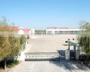 Qingdao Liandahang Foods Co., Ltd. company overview - view 2 thumbnail