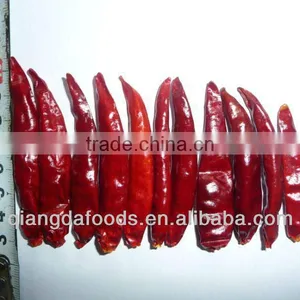 Whole Sale Bulk Spice Bird's Eye Chilli thumbnail-2