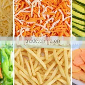 2016 High Quality New Design Best Price for Industrial Fruit Chopper thumbnail-2