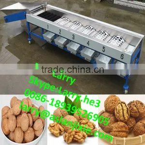 Walnut Size Grading Machine/walnut Grader/walnut Grading Machine thumbnail-1