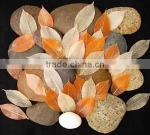 Thai Handmade Premium Pure Natural Spa Soap Leave- Healthy Effect of Exotic Herbs, Fruits, Grains, Botanical Natural Ingredients thumbnail-1