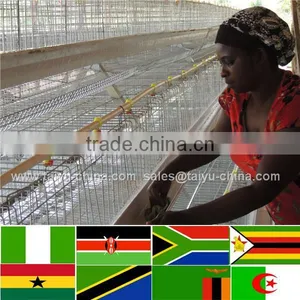 Trade Assurance NO.1 Design 50000 Chicken House 4tier Poultry Cage thumbnail-4
