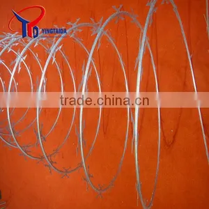 Barbed Wire Security Fence thumbnail-2