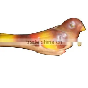 Wooden Bird Whistle thumbnail-1