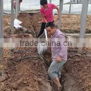 Greenhouse Irrigation Project for Grape thumbnail-4