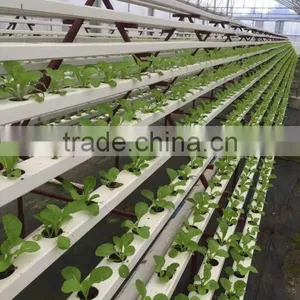 Vertical Hydroponic Systems for Greenhouse thumbnail-2