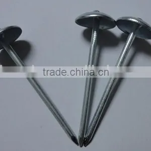 2.5 Inch Umbrella Head Roofing Nail Twisted Shank Roofing Nail Factory Price thumbnail-1
