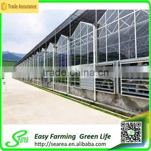 Grape Growing Agriculture Green House for Sale thumbnail-6
