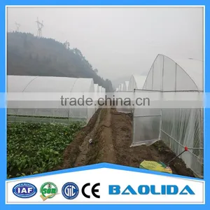 Low Cost Tunnel Greenhouse thumbnail-3