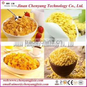 2016 New Equipment for Breakfast Cereals Food Machine Manufacturing / Corn Flakes Machinery /breakfast Cereals Machine thumbnail-1