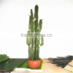 SJM091024 Indoor Decoration Artificial Cactus p .e . Plant /prickly Pear Plant Made in China thumbnail-1