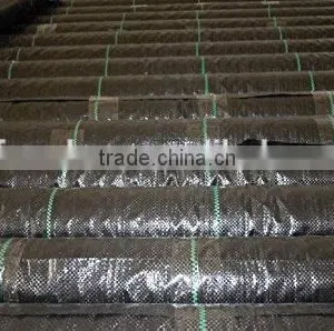 Waterproof Tent Cover Landscape Fabric thumbnail-6