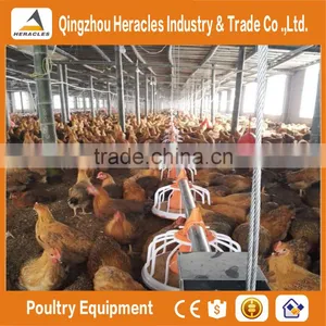 Trade Assurance Equipment Poultry Chicken Farming Materials--flooring Feeding and Drinking Equipment thumbnail-1
