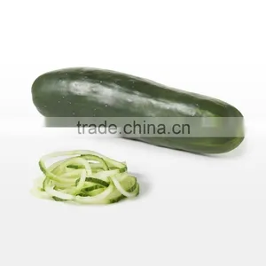 2016 Amazon Hot Selling Hand-held Sprializer Vegetable Slicer Spiral Slicer thumbnail-5
