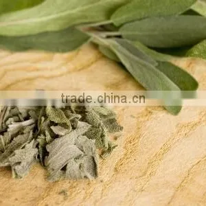 Supplier of Dried Sage Leaves thumbnail-1