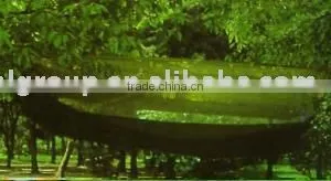 Hammock thumbnail-1