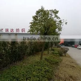 Nantong Reador Textile Co., Ltd. company overview - view 2 thumbnail