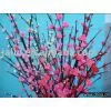 Dried Flower thumbnail-1