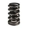 Valve Spring thumbnail-1