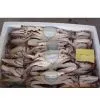 Sell Male and Female Swimming Crab thumbnail-1