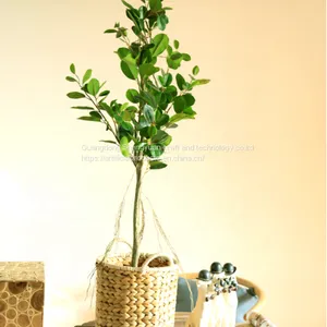 China Supplier Artificial 1.5 Meter Mini Banyan Tree Potted thumbnail-1