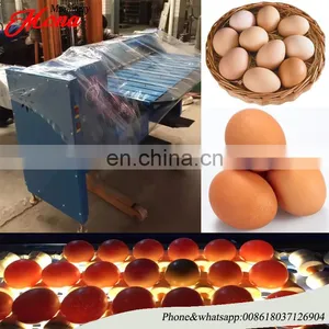Hot Sale Egg Grader/egg Sorting Machine/egg Grading Machine thumbnail-4