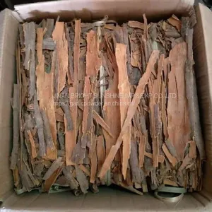 Cassia Whole thumbnail-2