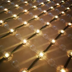 12V SMD3535 Waterproof Ip65 RGB D20 Mesh Screen Light For Decorative Lighting thumbnail-3