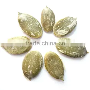 Organic Pumpkin Kernel thumbnail-5