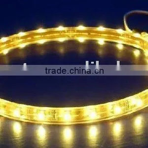 PE Cannula /Waterproof 600pcs 3528 SMD Flexible LED Strip thumbnail-1