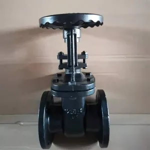 ANSI 125lb 150lb 3 Inch Cast Iron Flanged Gate Valve Brass Seal 2Cr13 Stem Bronze Seat Gate Valve for Pipe Connection thumbnail-5