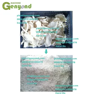Stainless Steel Coconut Milk Extractor, Coconut ( Cokernut) Milk Machine Withfactory Price thumbnail-3