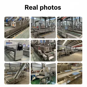 Automatic Commercial Fruit and Vegetable Bubble Washer Large-Scale Multifunctional Cleaning Equipment and Processing Line Dryer Cutting Machine thumbnail-3
