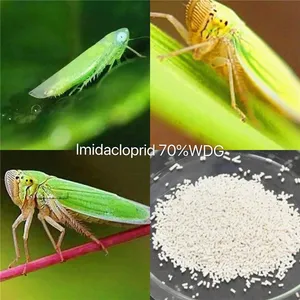 Nitromethylene Systemic Insecticides Imidacloprid 70%wdg Agrochemical thumbnail-2