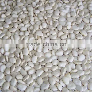 Lima Beans From Peru thumbnail-1