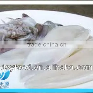 Frozen Squid After Cleaning thumbnail-3
