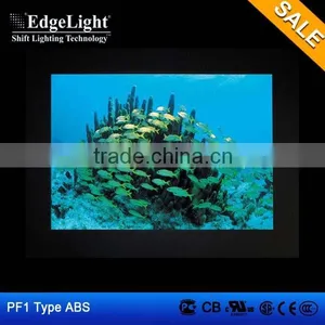 Lighting Photo Frame , Plastic Frame Led Illuminated Acrylic Panel , Cheap Popular Fashion Design Standard A4 Size LED Frame thumbnail-1