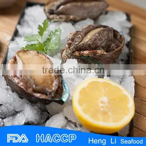 HL009 Frozen Abalone Meat Wholesale thumbnail-1