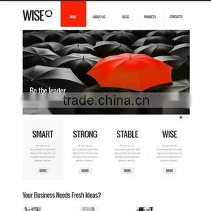 Business Web Development thumbnail-1