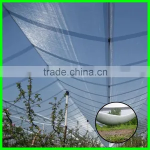 Anti Hail Net,hail Protection Net for Fruit Plantations Apple Tree thumbnail-1